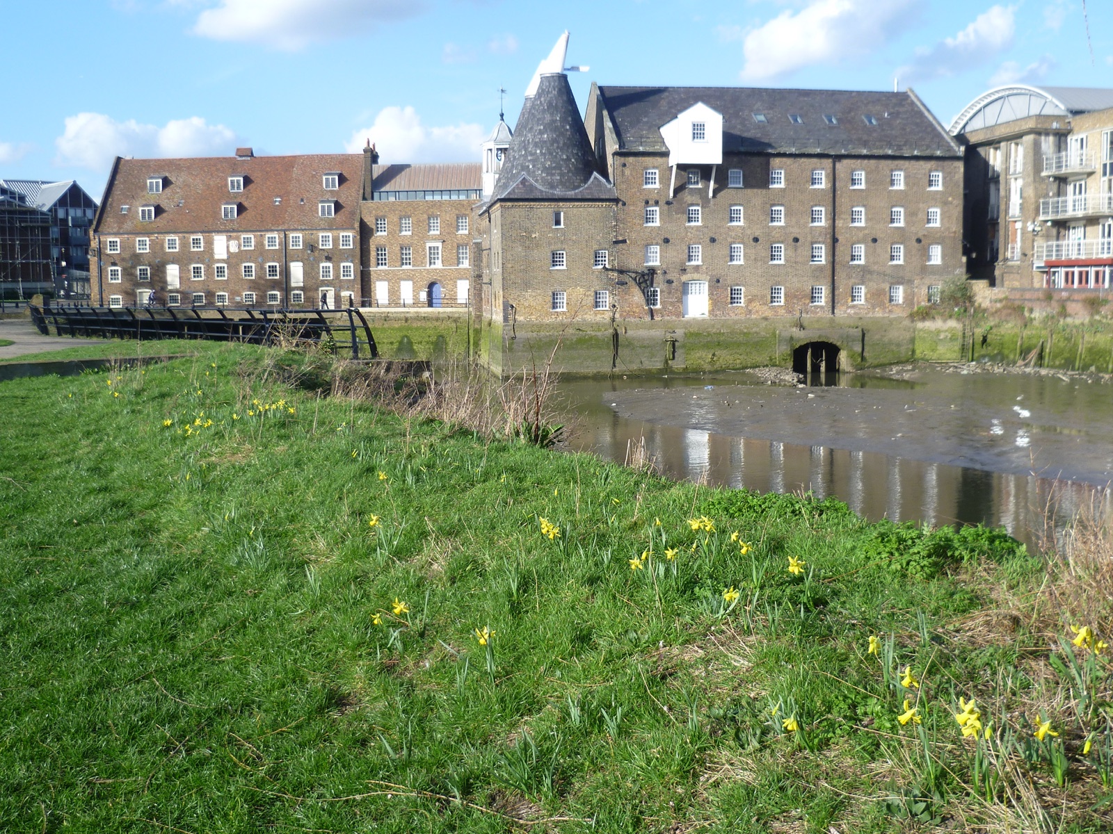 The House Mill and Clock Mill across the tidal basin, with daffodils on the grassy riverside green in spring.